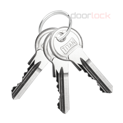 Цилиндр в мастер системе DOM TITAN K1 NI